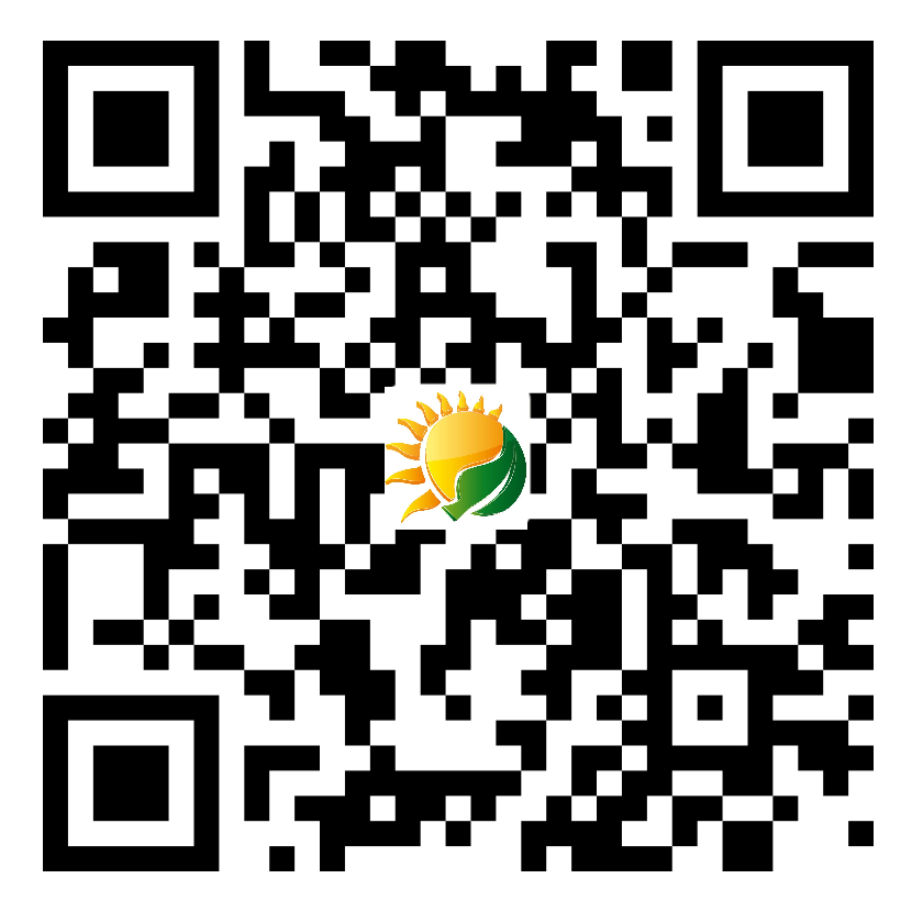 阳光徐来 支付宝